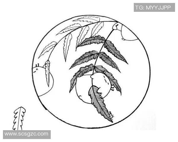 简单易学的足球门简笔画教程让你轻松掌握绘制技巧与步骤