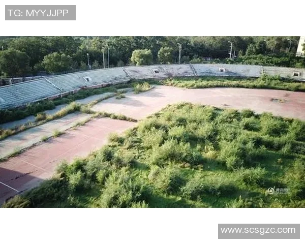 足球场意外频发引发关注运动安全问题亟待解决的深思与反思